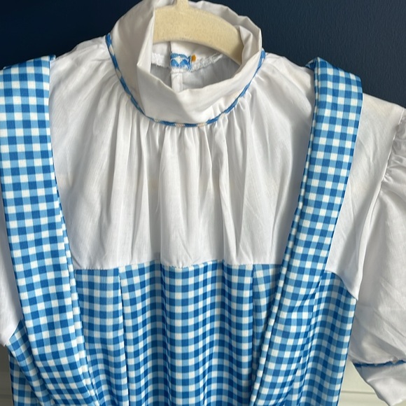 Oh Dorothy! 🌪️ 🏠🐕‍🦺 Dress and Ruby Slippers - Picture 2 of 9